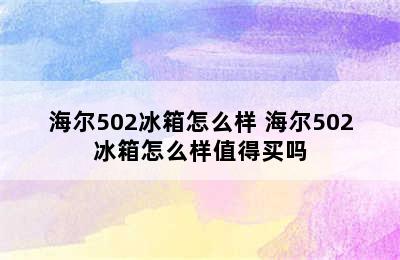 海尔502冰箱怎么样 海尔502冰箱怎么样值得买吗